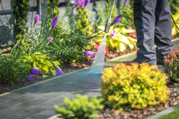 Best Fence Cleaning  in Bound Brook, NJ